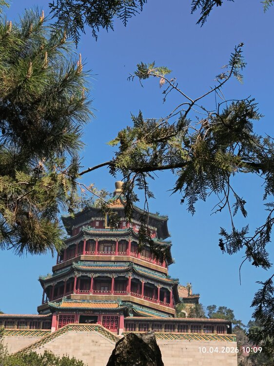 2026-04-10 10-09-08.JPG