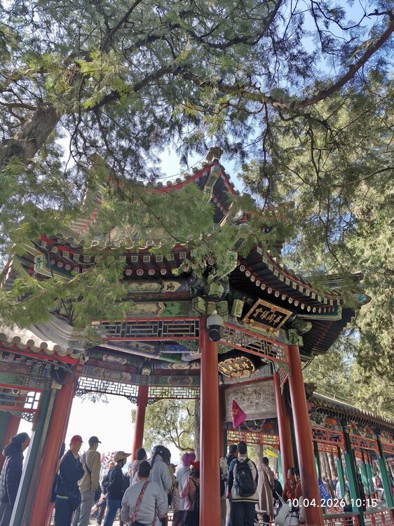 2026-04-10 10-15-19.JPG