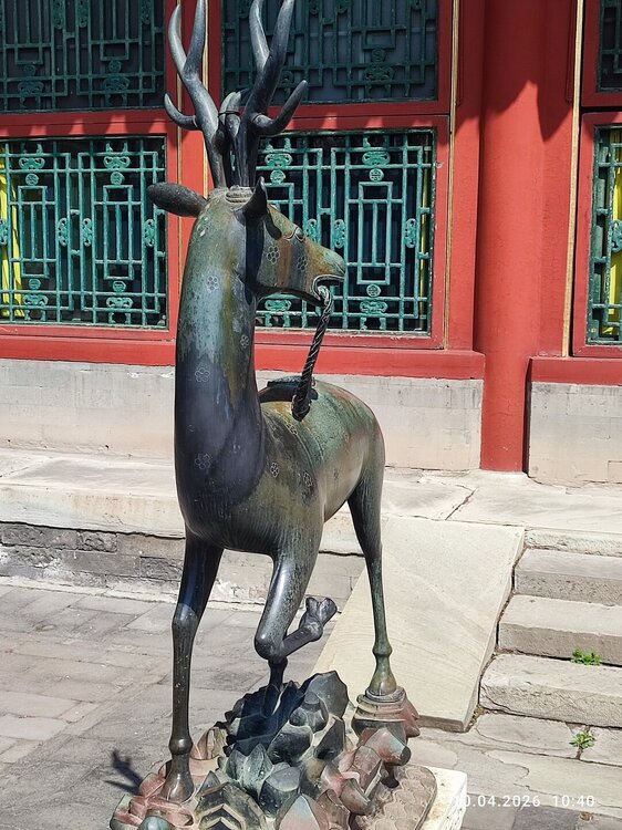 2026-04-10 10-40-24.JPG