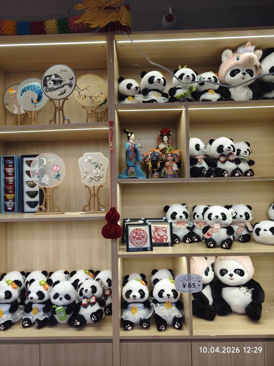 2026-04-10 12-29-48.JPG