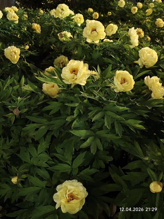 2026-04-12 21-29-31.JPG