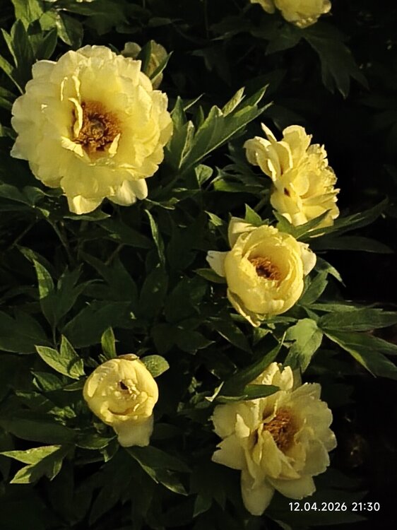 2026-04-12 21-30-09.JPG