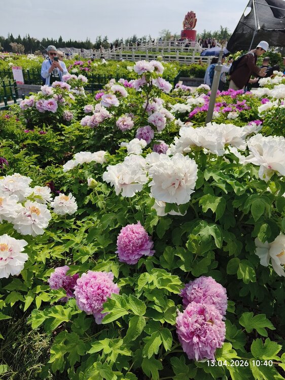 2026-04-13 10-40-26.JPG