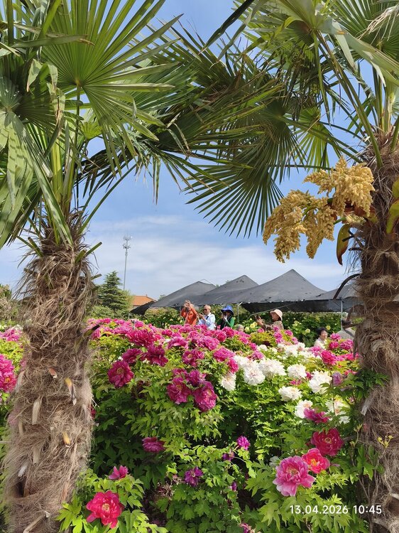 2026-04-13 10-45-52.JPG