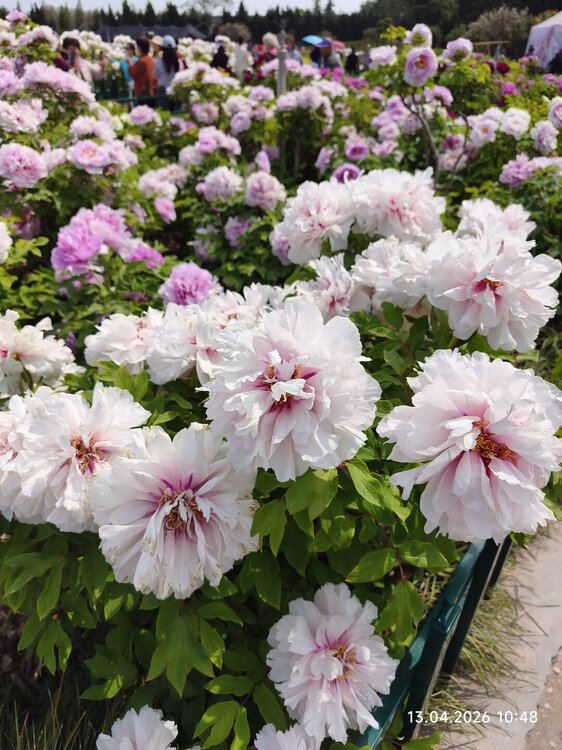 2026-04-13 10-48-19.JPG