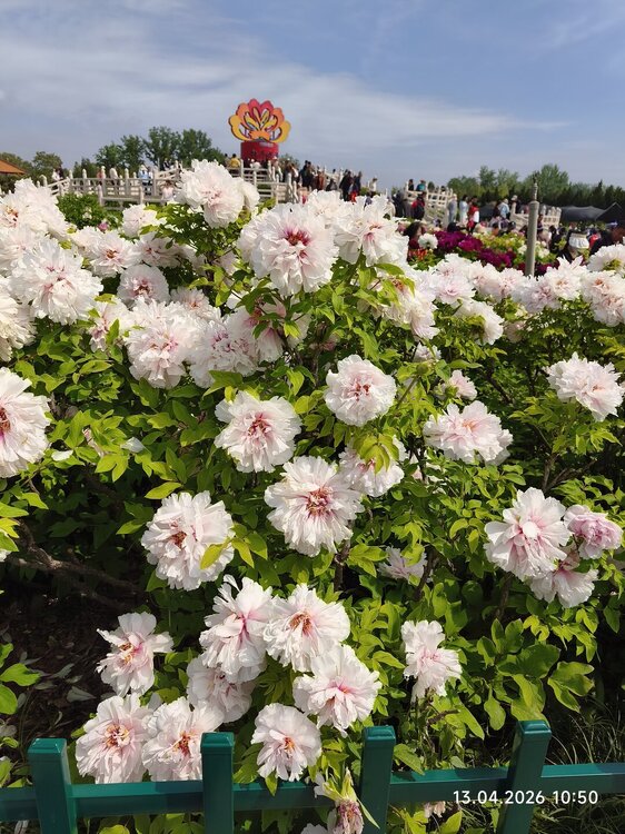 2026-04-13 10-50-17.JPG