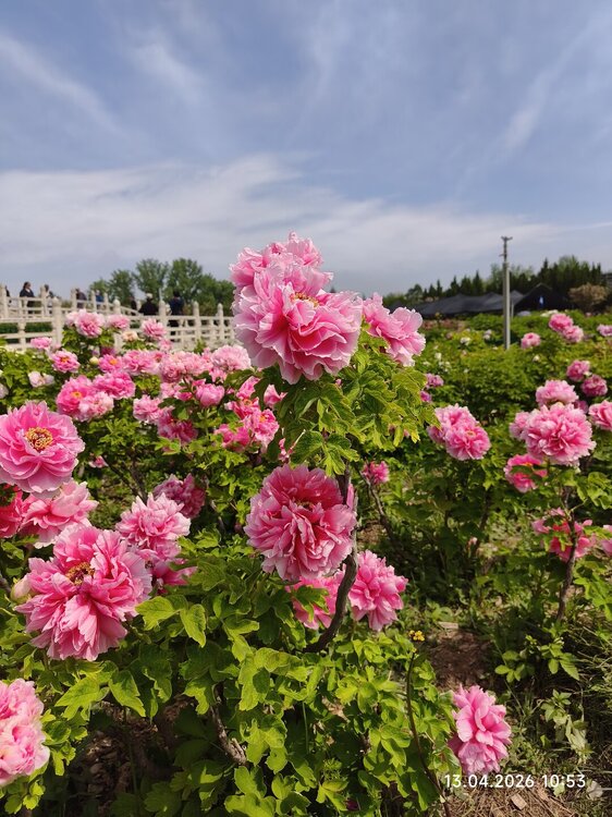 2026-04-13 10-53-14.JPG