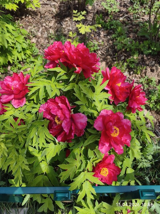 2026-04-13 10-56-59.JPG