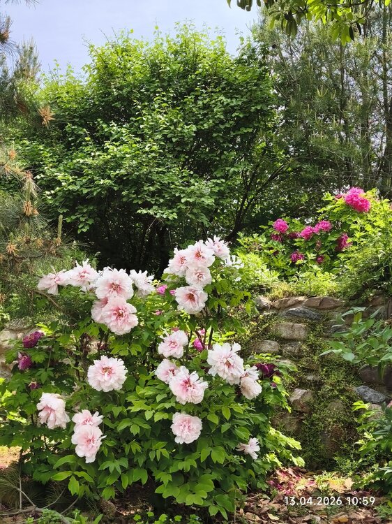 2026-04-13 10-59-14.JPG