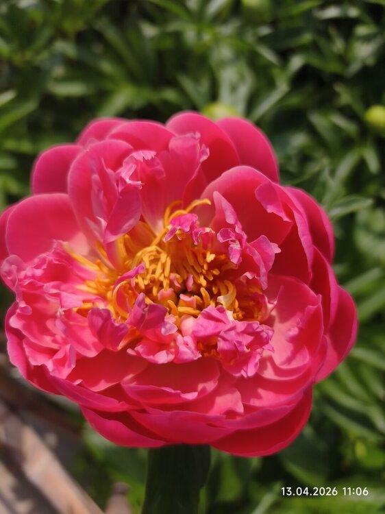 2026-04-13 11-06-42.JPG