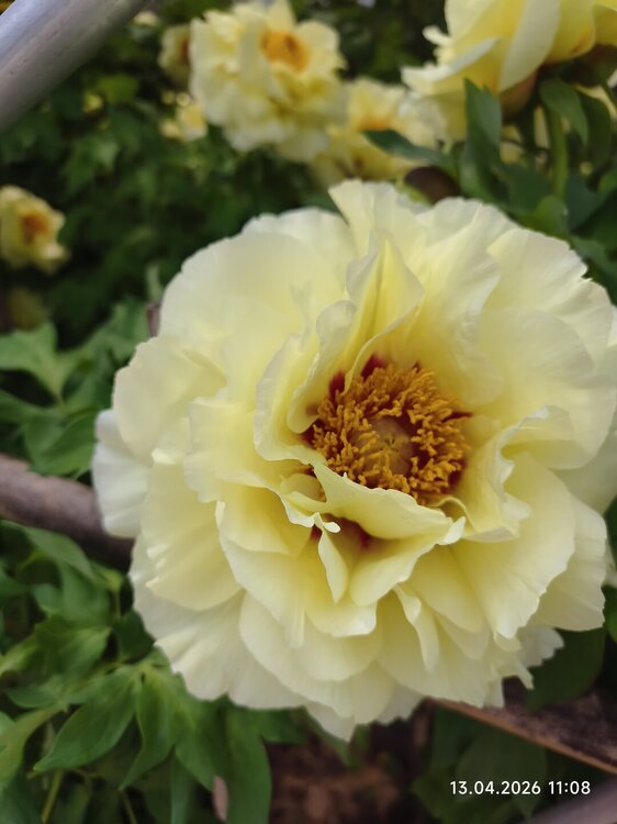 2026-04-13 11-08-50.JPG