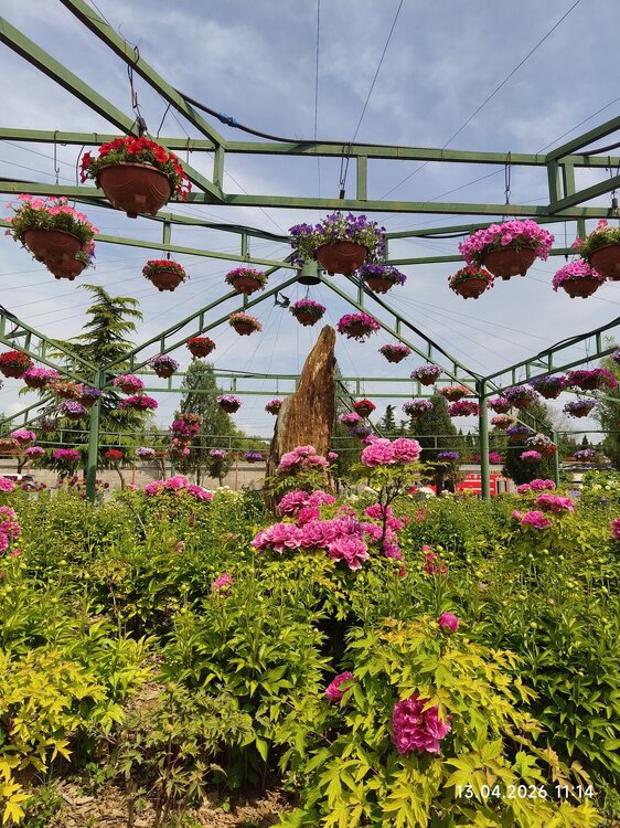 2026-04-13 11-14-32.JPG