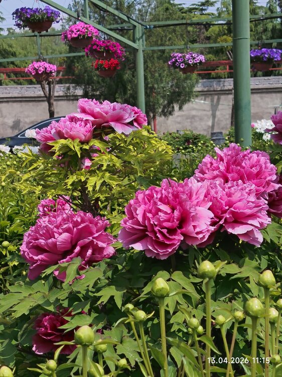 2026-04-13 11-15-19.JPG