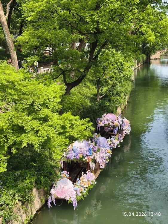 2026-04-15 13-48-36.JPG