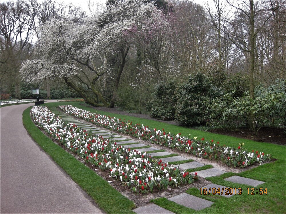 Изображение 257.jpg