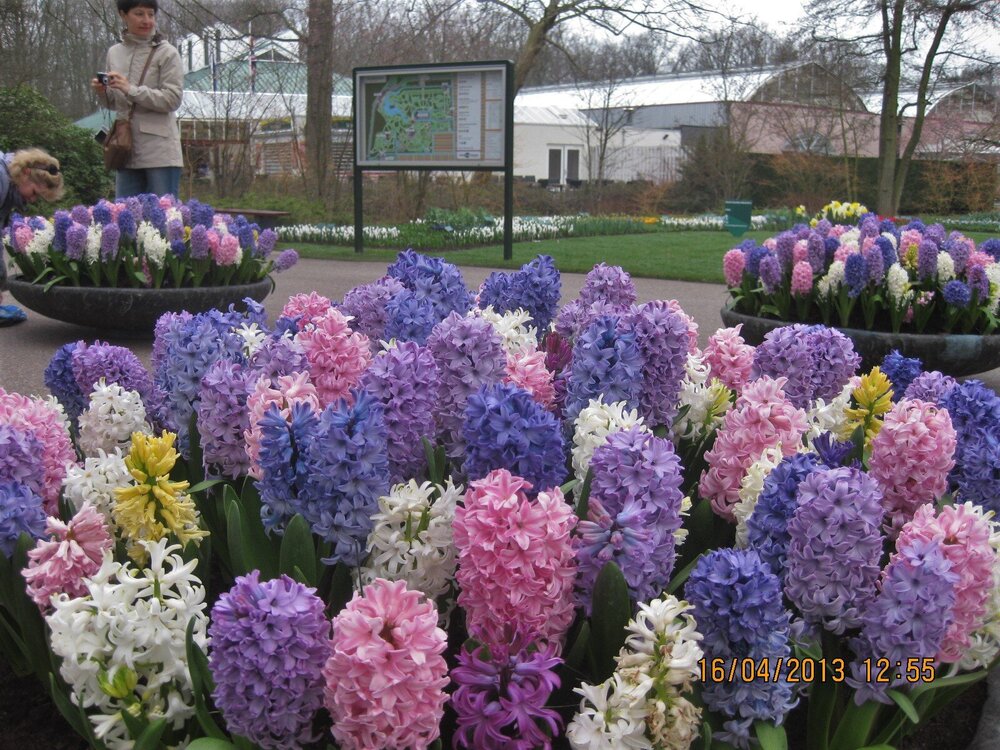 Изображение 258.jpg