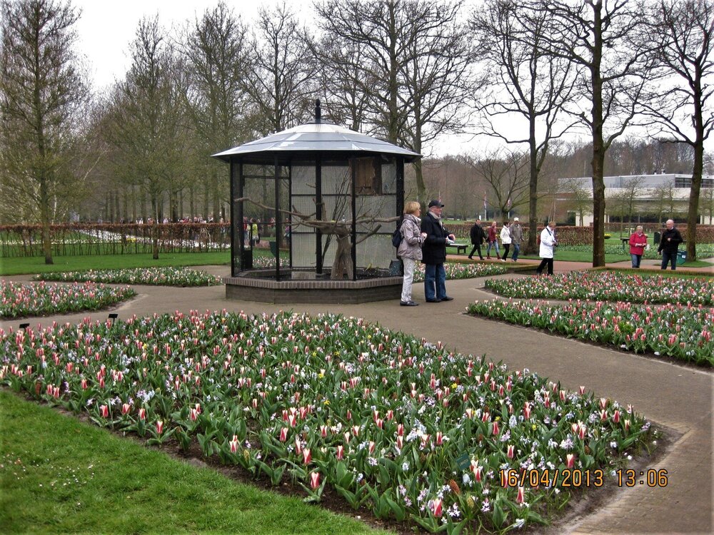 Изображение 270.jpg