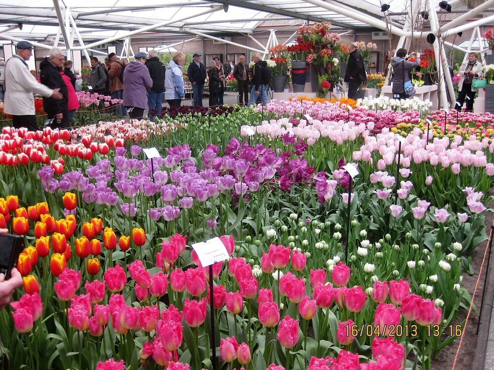 Изображение 276.jpg