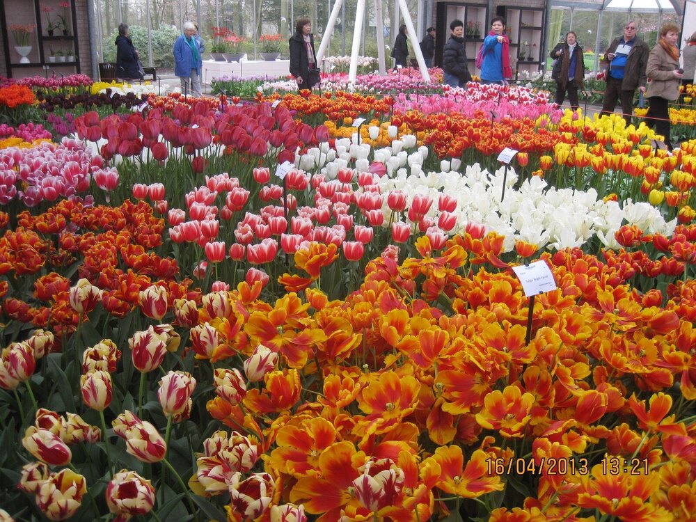 Изображение 286.jpg