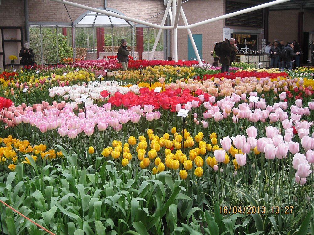 Изображение 300.jpg