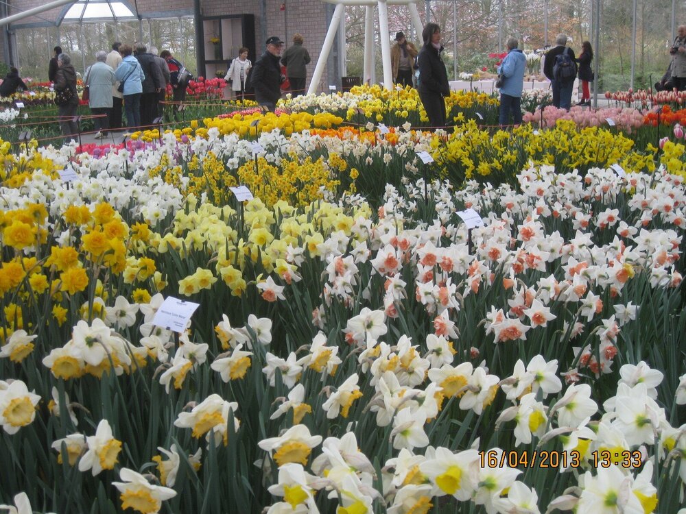 Изображение 317.jpg