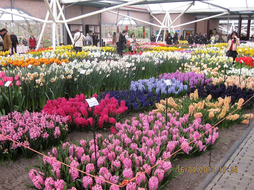 Изображение 321.jpg