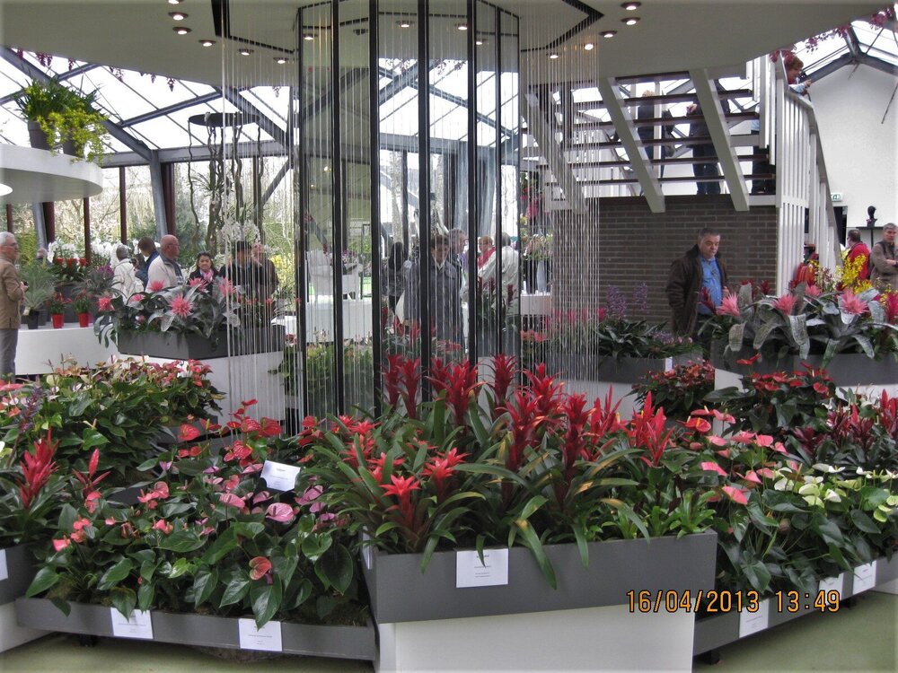 Изображение 338.jpg