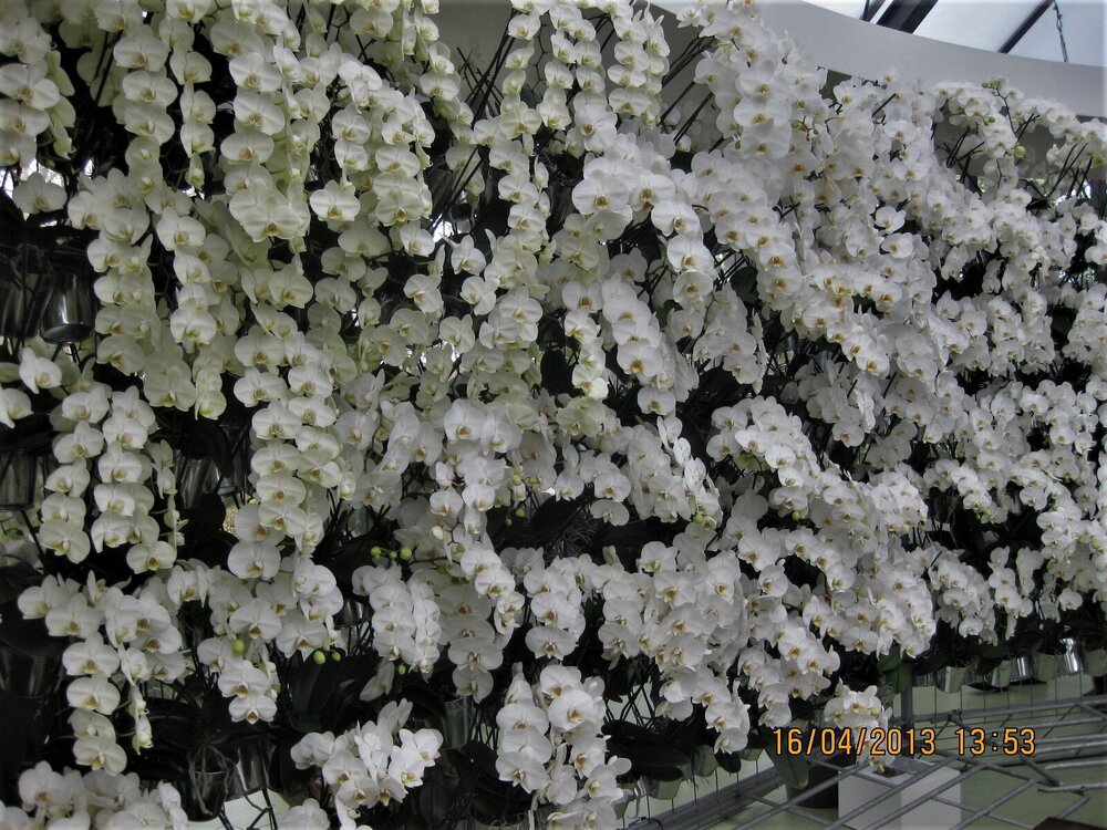 Изображение 348.jpg