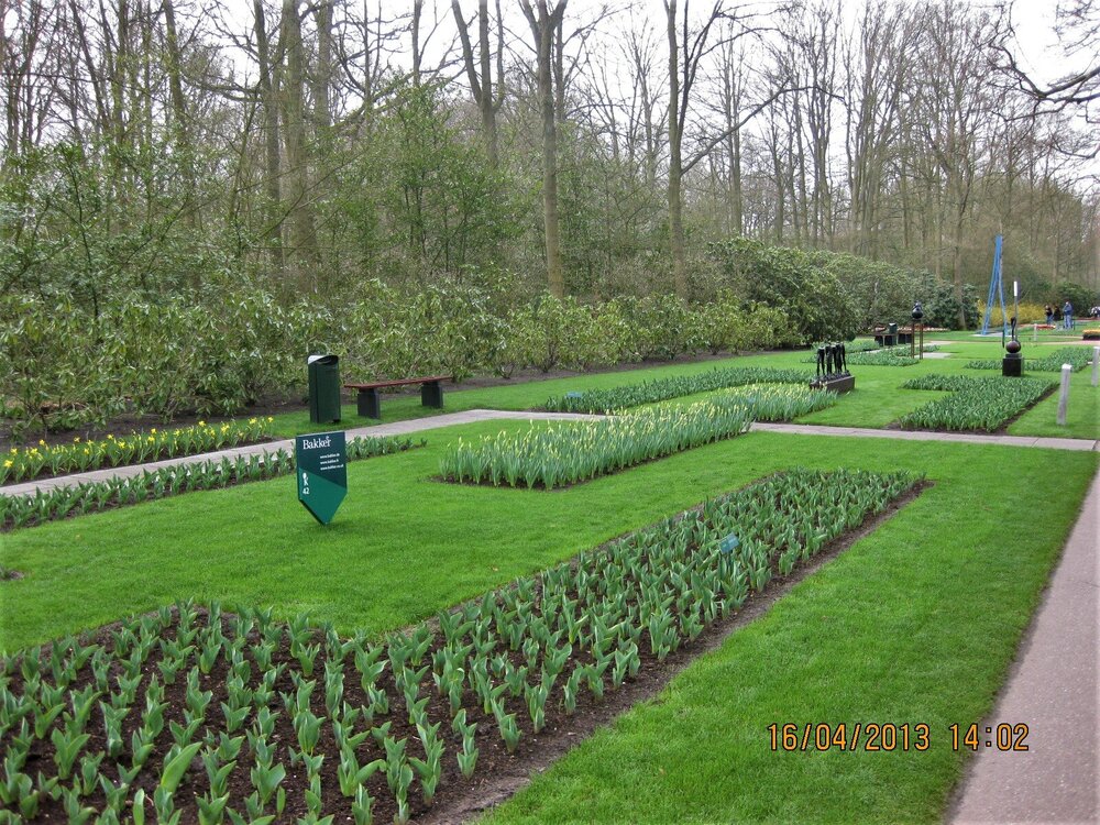 Изображение 364.jpg