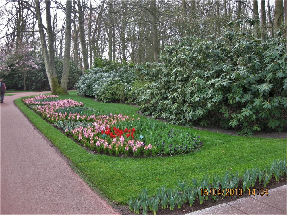 Изображение 366.jpg