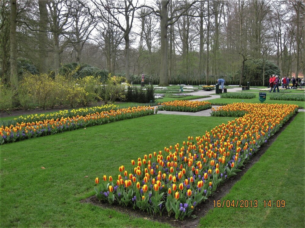 Изображение 371.jpg