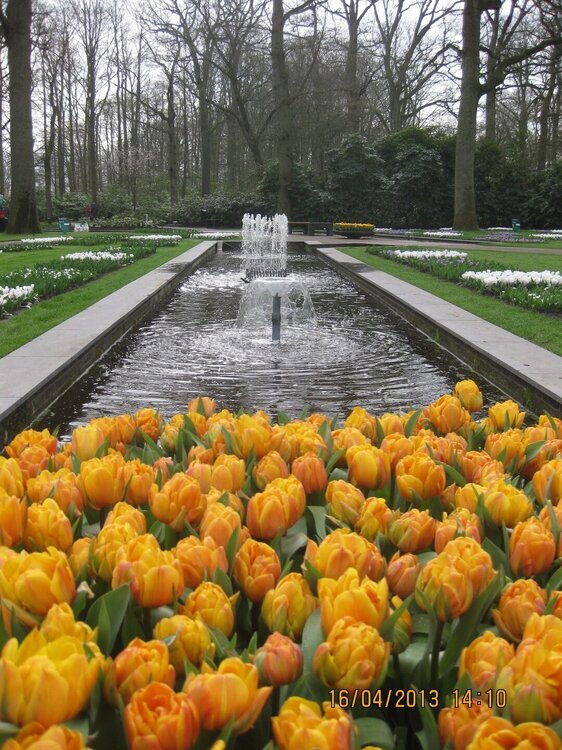 Изображение 373.jpg