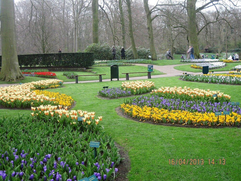 Изображение 376.jpg