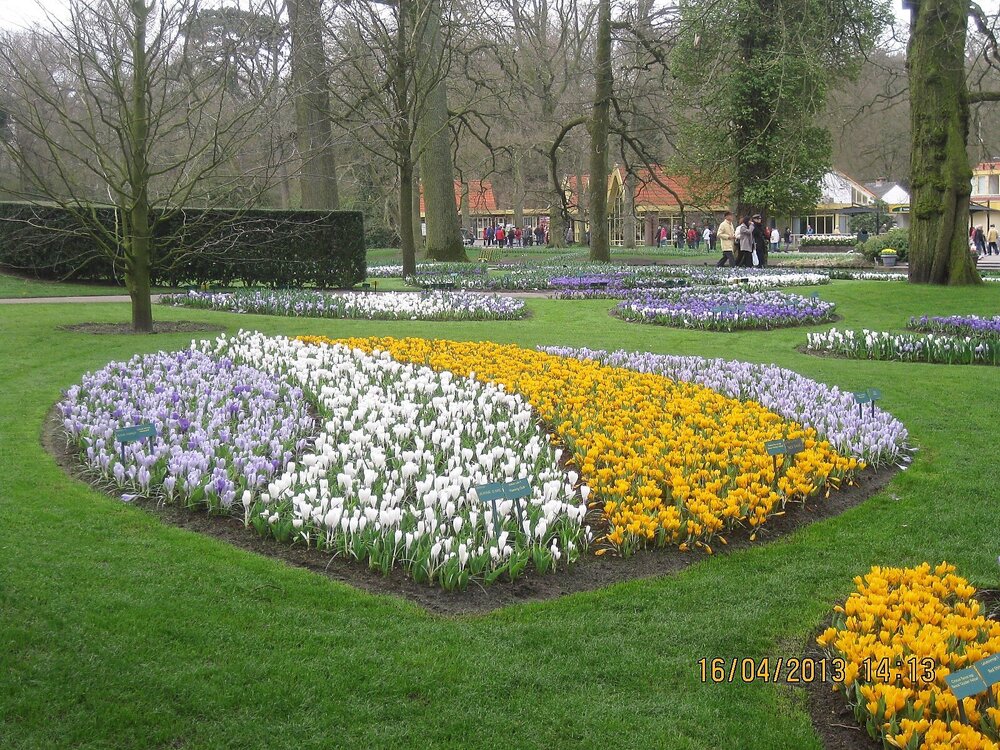 Изображение 377.jpg