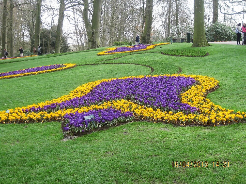 Изображение 388.jpg