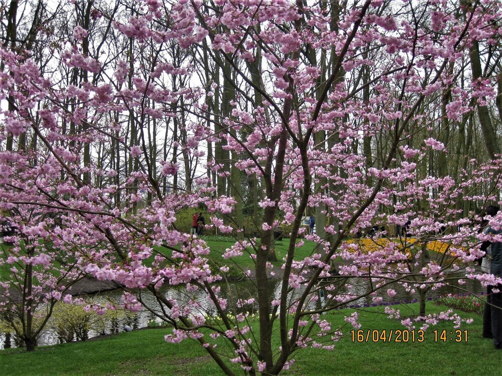 Изображение 399.jpg