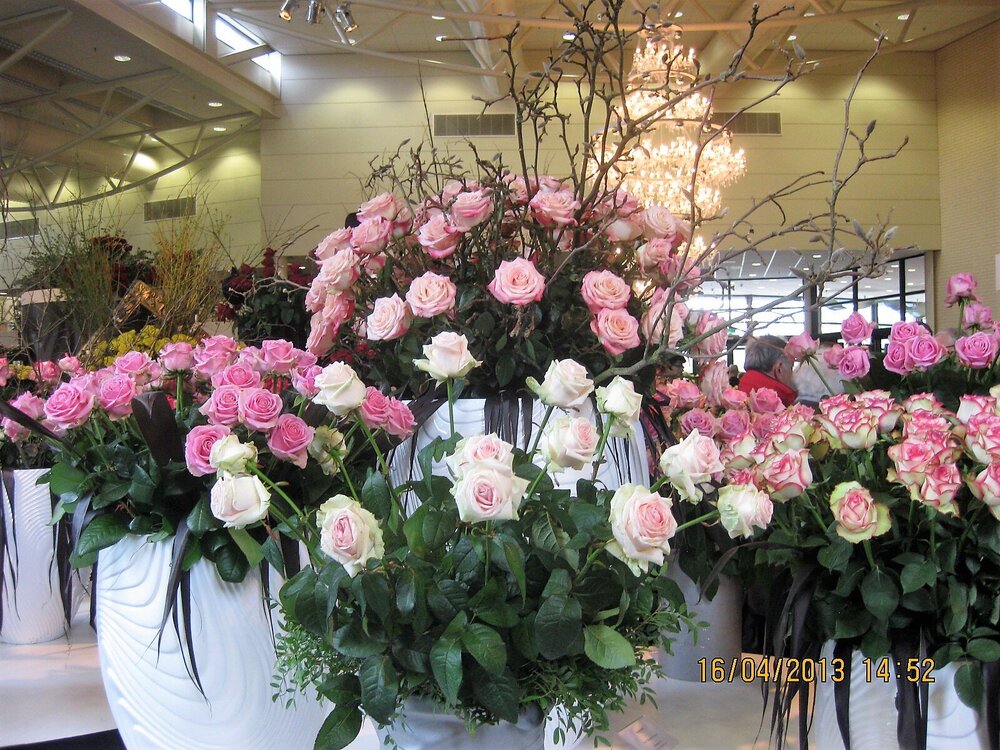 Изображение 427.jpg