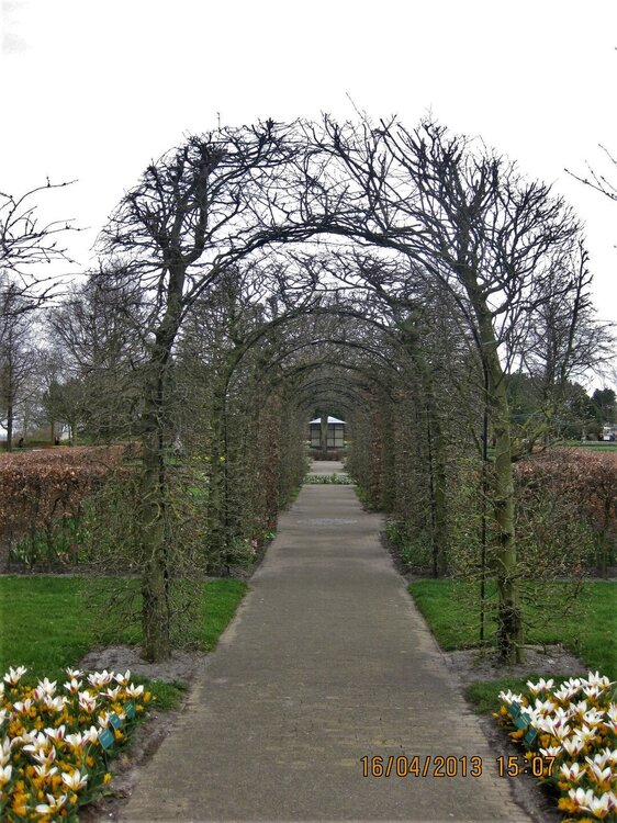 Изображение 450.jpg