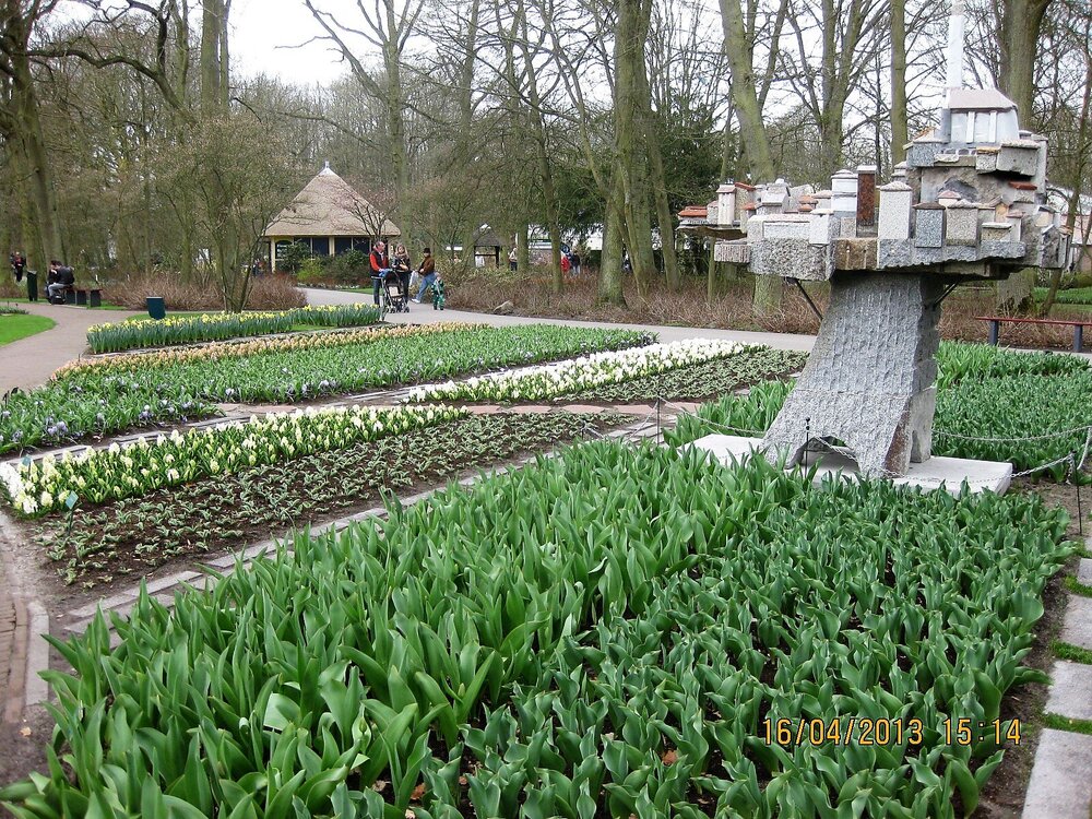 Изображение 452.jpg