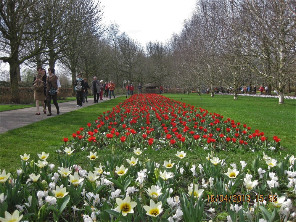 Изображение 565.jpg