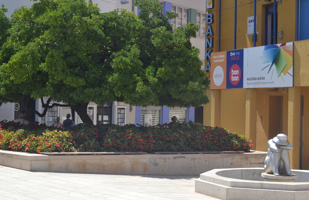 DSC_0085 — копия.JPG