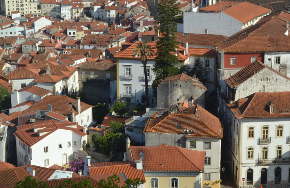 DSC_0232 — копия.JPG