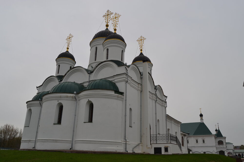 DSC_0350.JPG