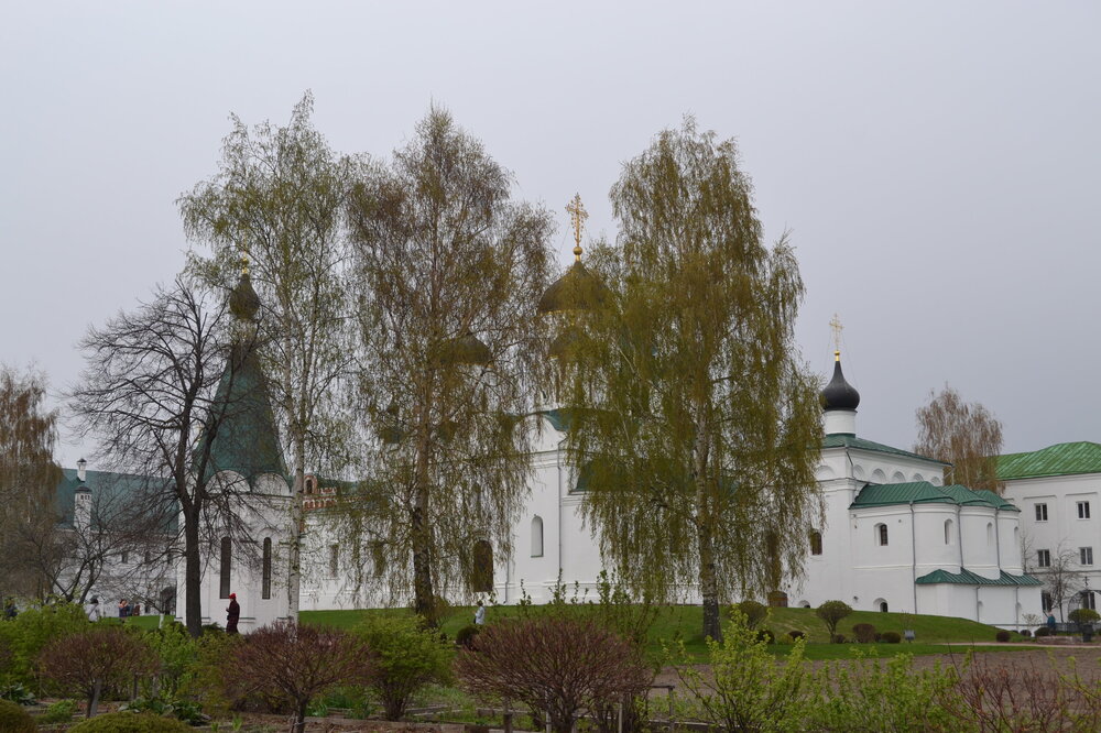 DSC_0366.JPG