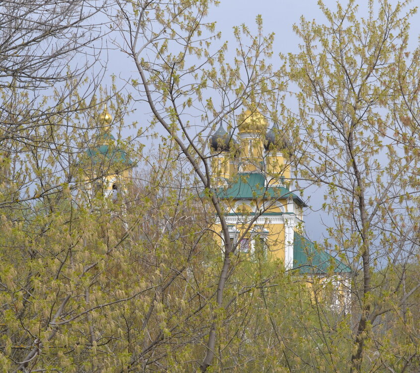 DSC_0444.JPG