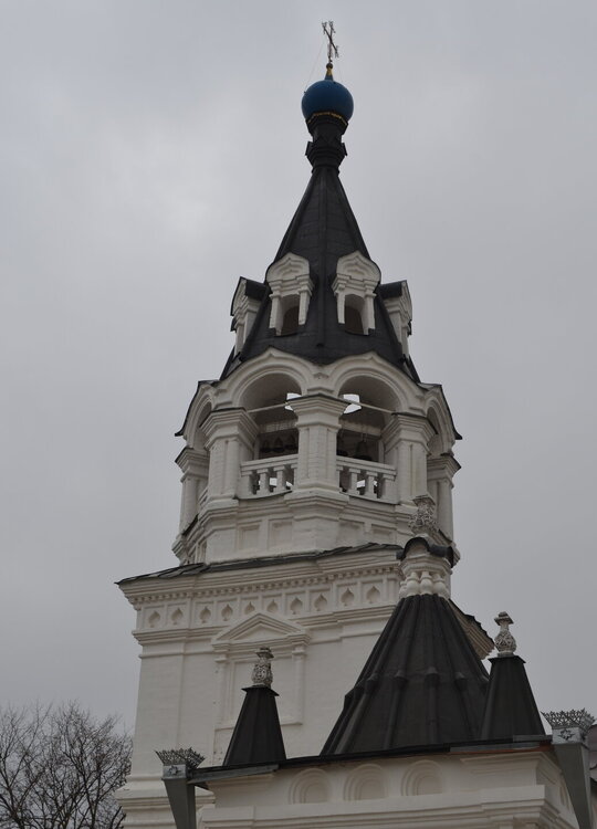 DSC_0480.JPG