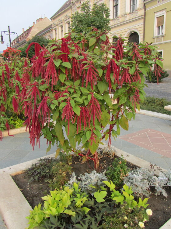 IMG_1705 — копия.jpg