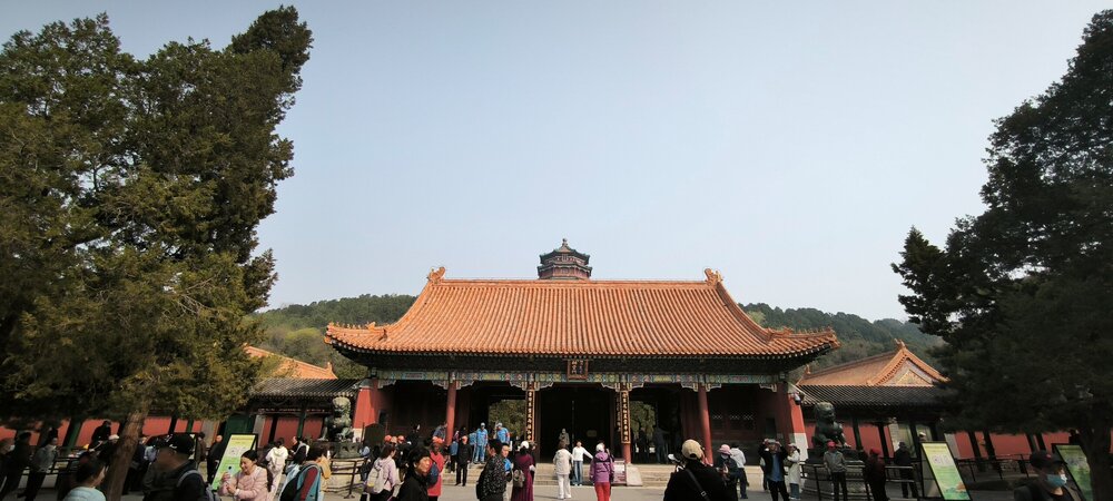 IMG_20260415_094130.jpg