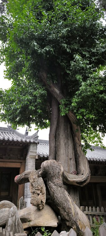 IMG_20260416_132707.jpg