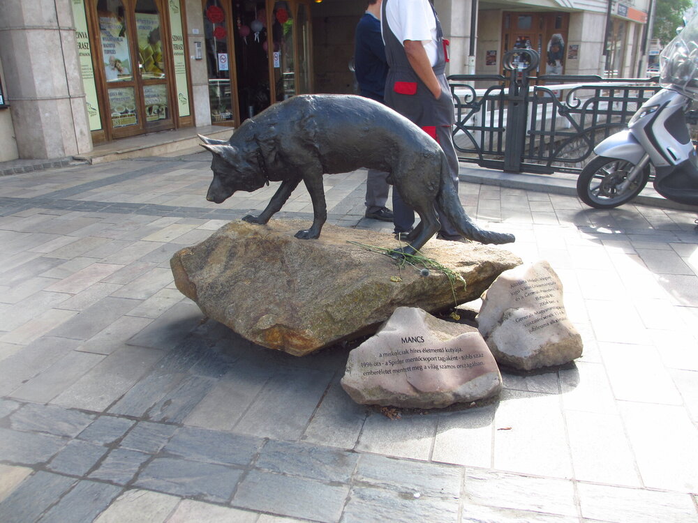 IMG_7476.JPG